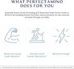 Perfect Amino Tablets