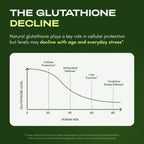 Energy & Defense DUO - NMN & Glutathione